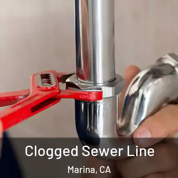 Clogged Sewer Line Marina, CA