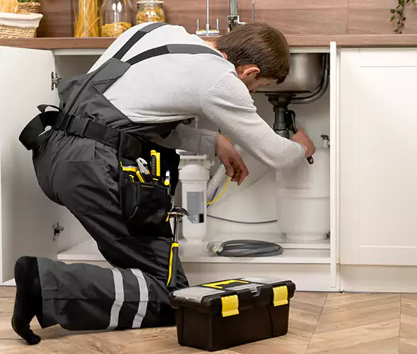 Certified Plumbers for Insinkerator Installation in Marina