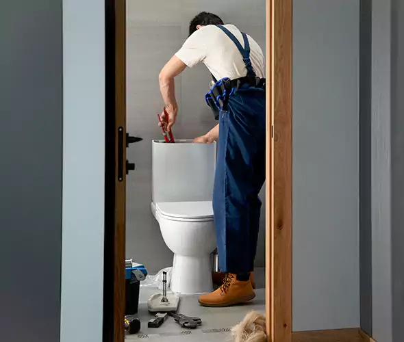 Professional Plumbers for Toilet Bowl Replacement in Marina, CA: Schedule Affordable Toilet Replacement Services With Us