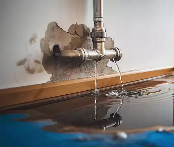 Professional Water Damage Restoration Experts in Marina, CA — Fast, Reliable & Certified