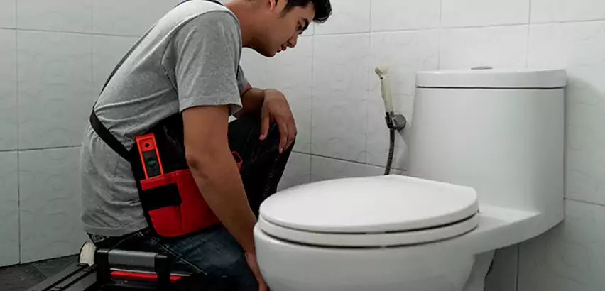 Toilet Repair in Marina