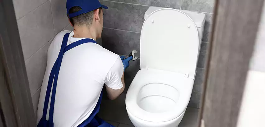 Toilet Lid Replacement in Marina