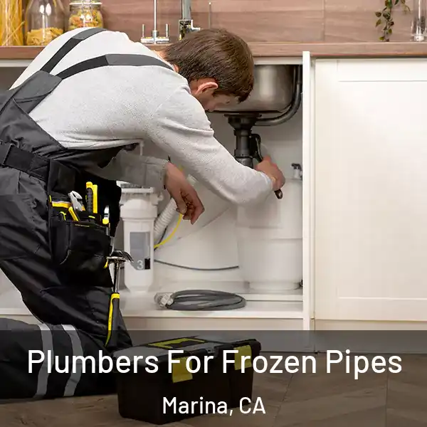  Plumbers For Frozen Pipes Marina, CA